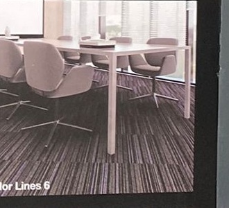 Color Lines Karo Halı ofis uygulaması 5