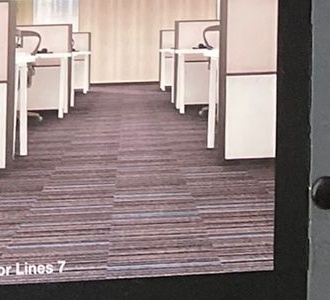 Color Lines Karo Halı ofis uygulaması 6